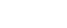 Insight Strategies